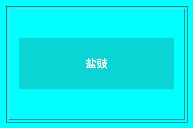 盐豉