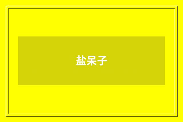 盐呆子