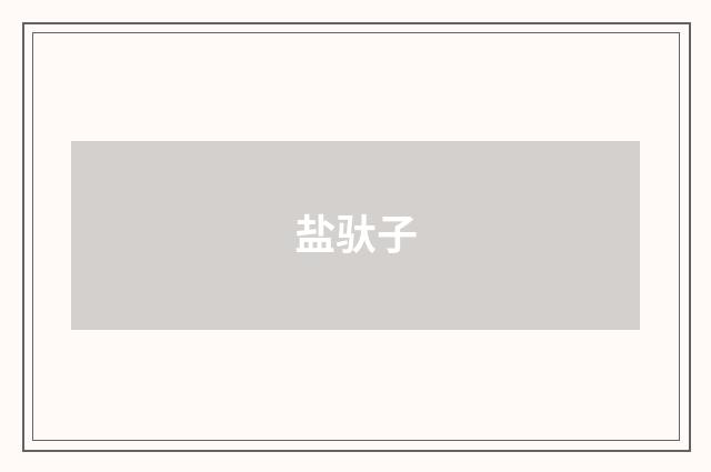 盐驮子