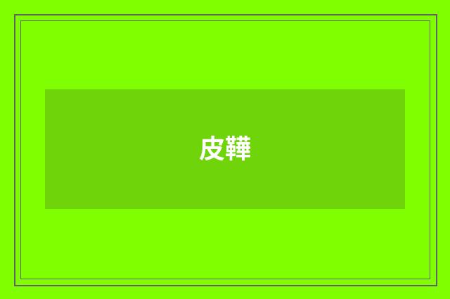 皮鞾