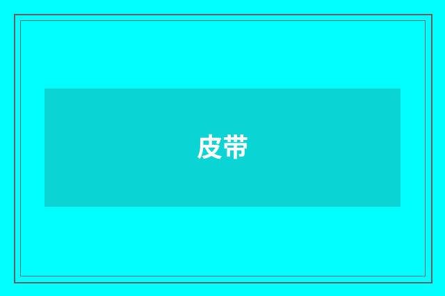 皮带