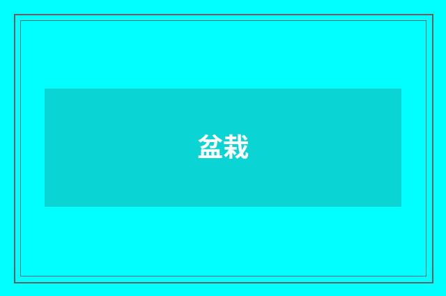 盆栽
