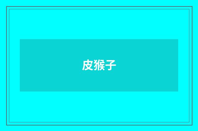 皮猴子