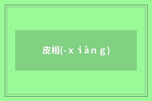皮相(-ｘｉàｎｇ)