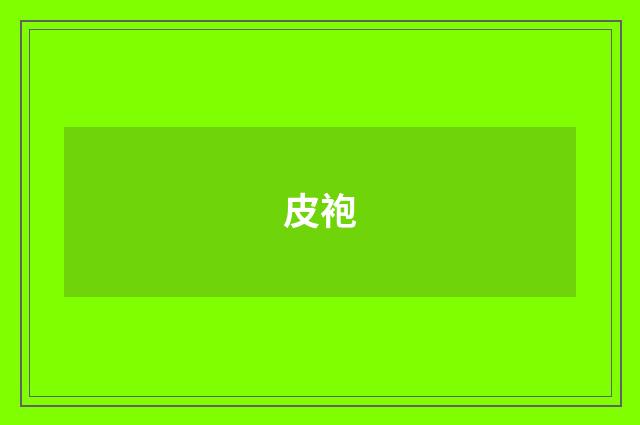 皮袍