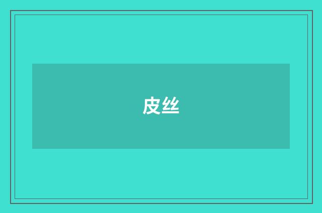 皮丝