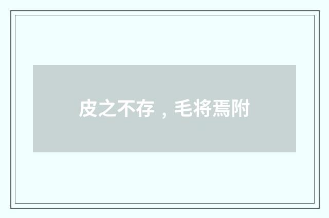 皮之不存﹐毛将焉附