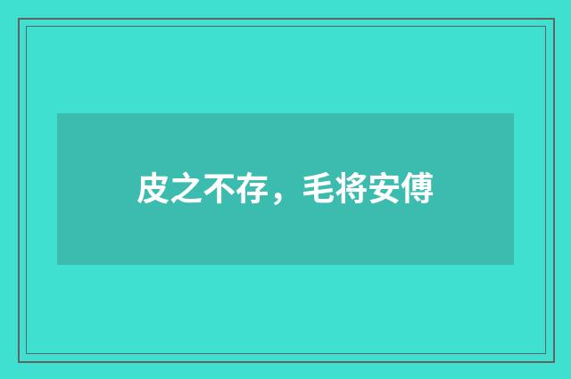 皮之不存，毛将安傅