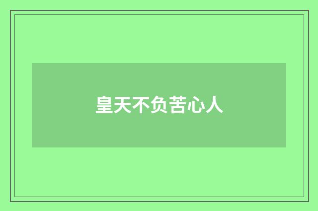 皇天不负苦心人