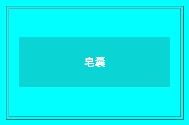 皂囊