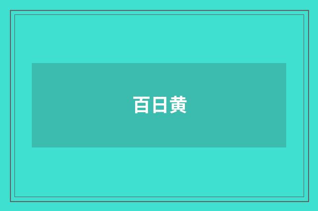 百日黄
