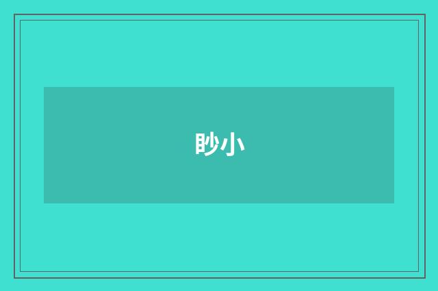 眇小