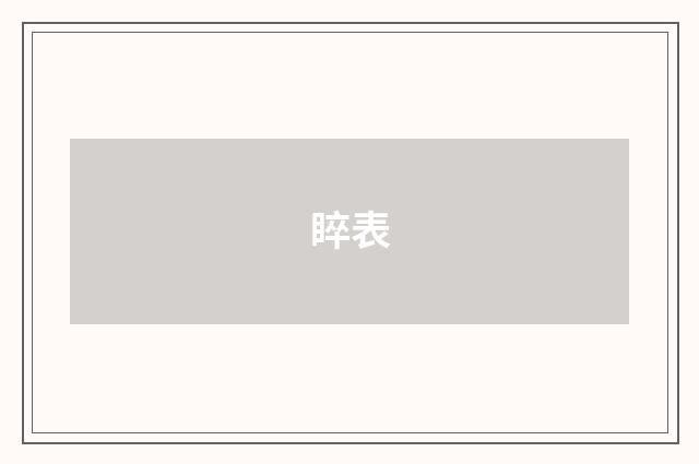 睟表