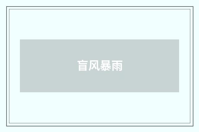 盲风暴雨