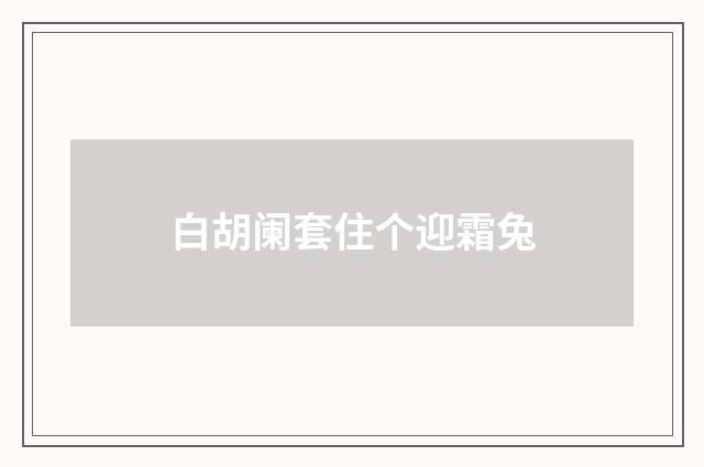 白胡阑套住个迎霜兔