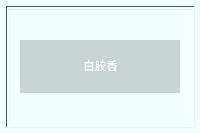 白胶香