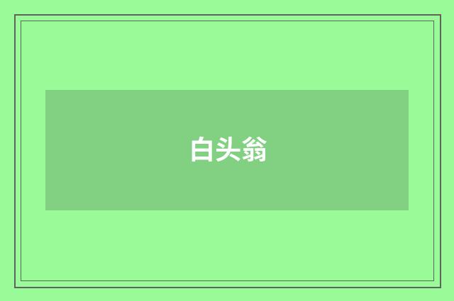 白头翁