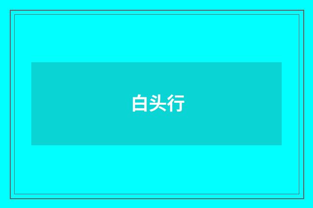 白头行