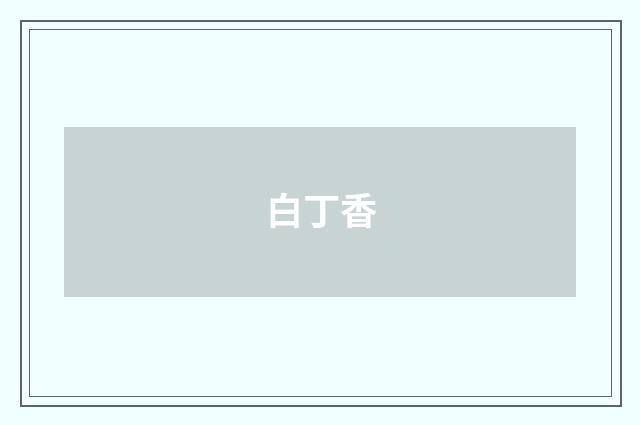 白丁香