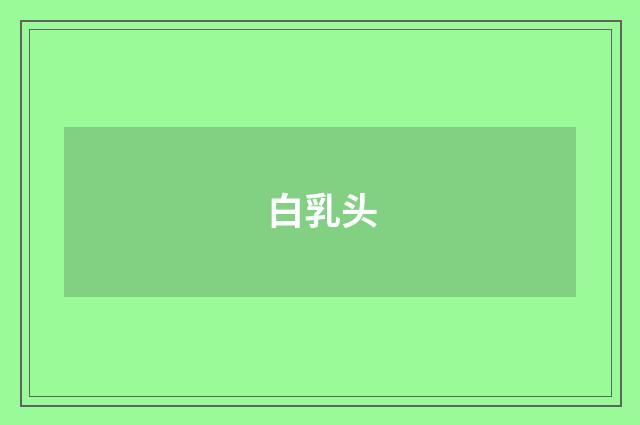白乳头