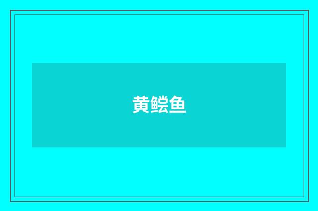 黄鲿鱼