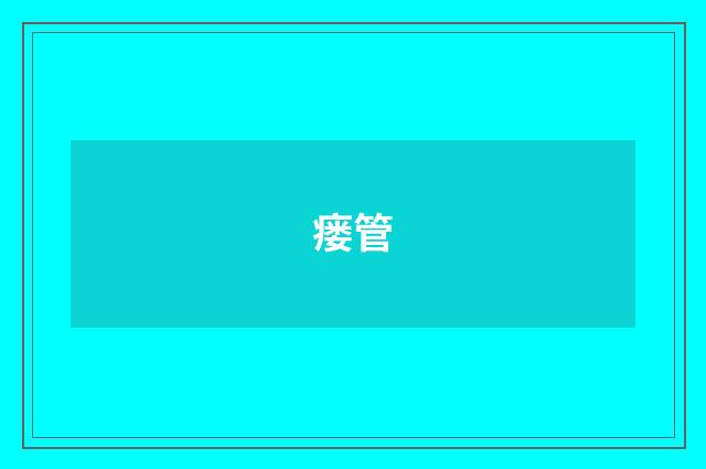瘘管