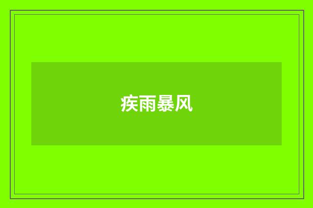 疾雨暴风