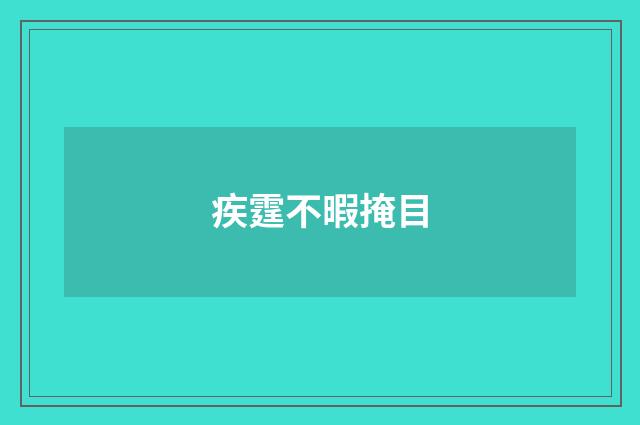 疾霆不暇掩目