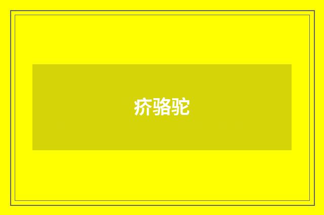 疥骆驼