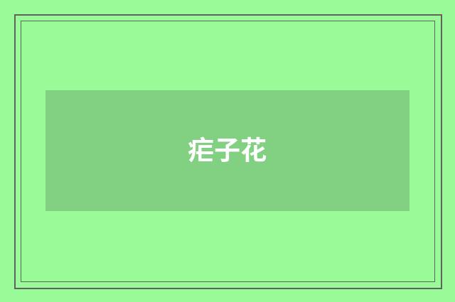 疟子花