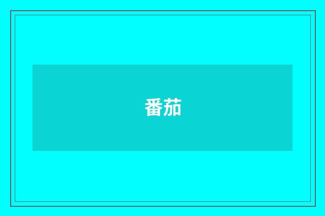 番茄