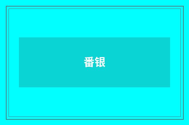 番银