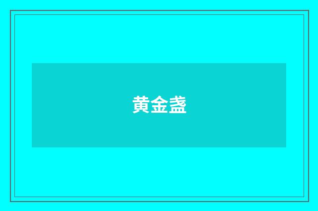 黄金盏