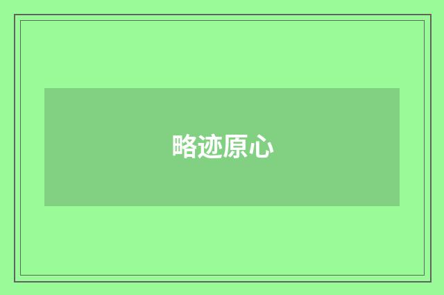 略迹原心