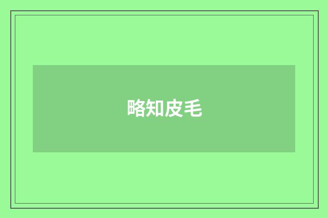 略知皮毛