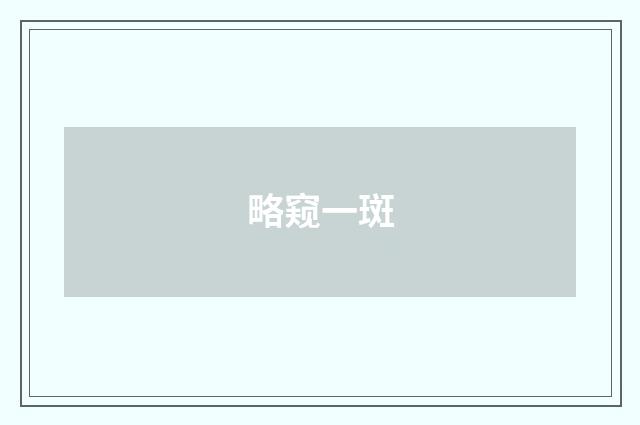 略窥一斑