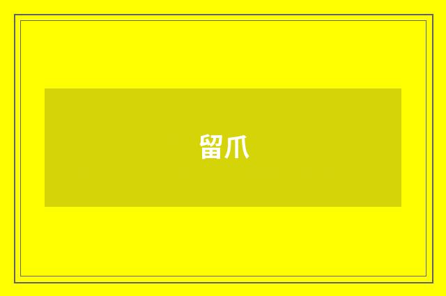留爪