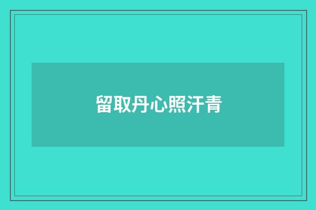 留取丹心照汗青