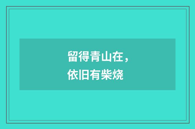 留得青山在，依旧有柴烧