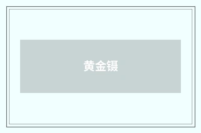 黄金镊