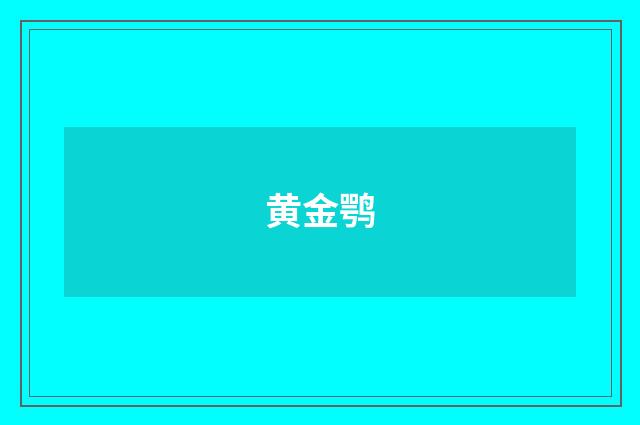 黄金鹗