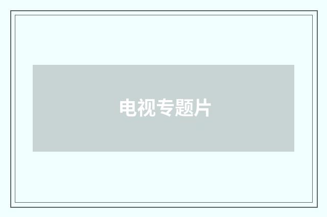 电视专题片