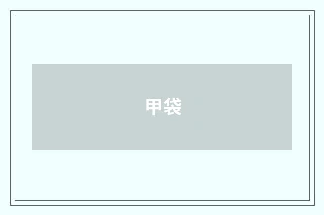 甲袋