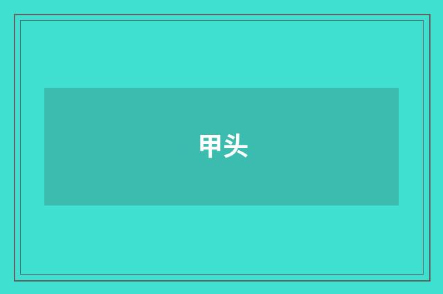 甲头