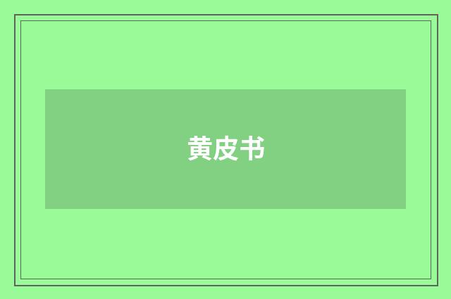 黄皮书