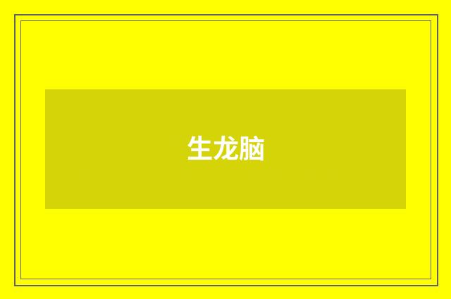生龙脑