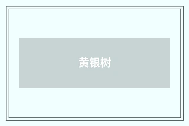 黄银树