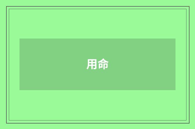 用命