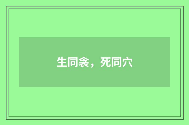 生同衾，死同穴