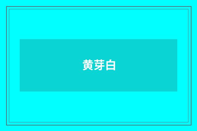 黄芽白